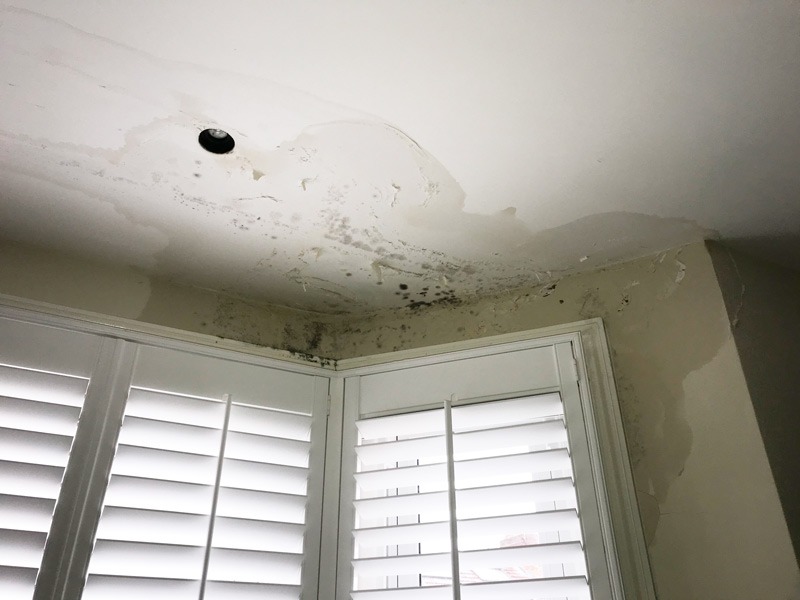 Shower Leak – How To Deal With It?